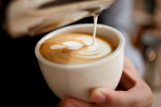 Best Bean to Cup Coffee Machine