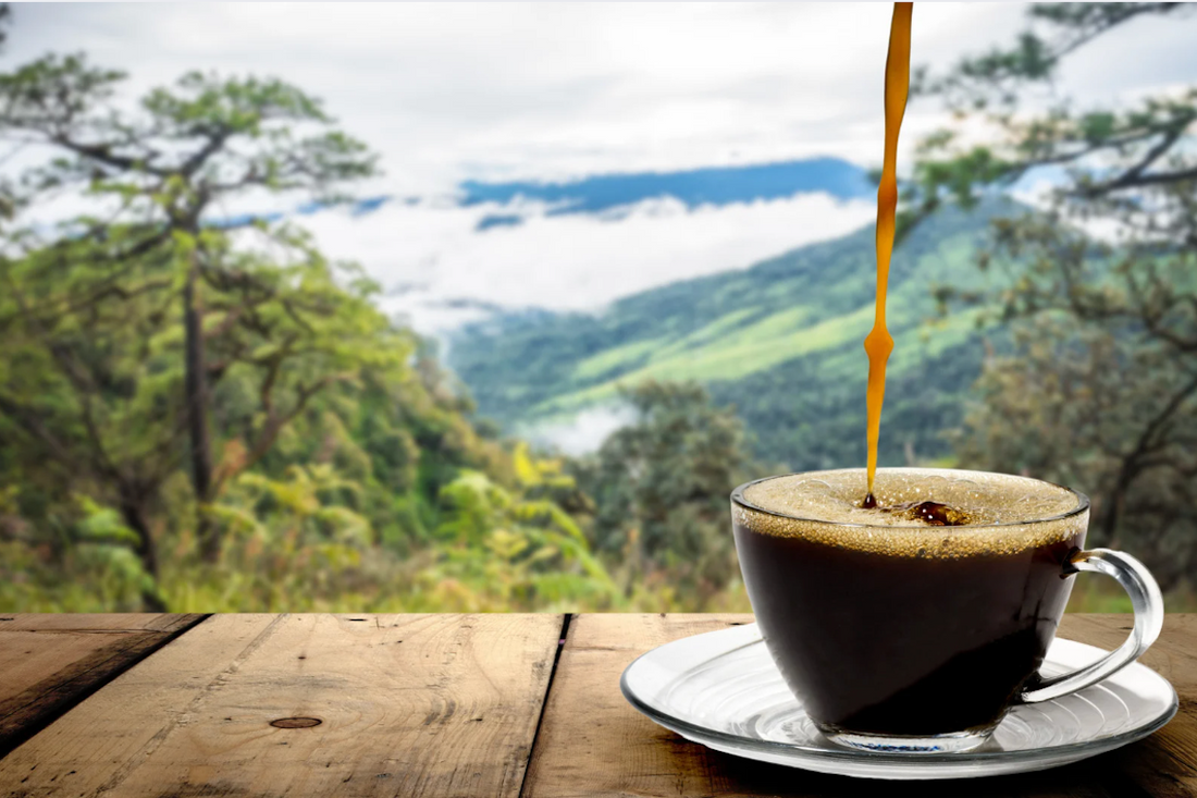 Descaling Sage Barista