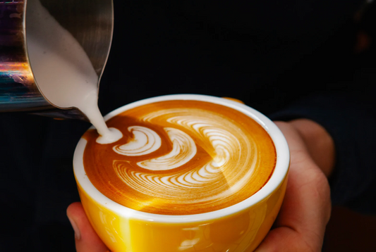 Famiworths Coffee Maker Pros and Cons