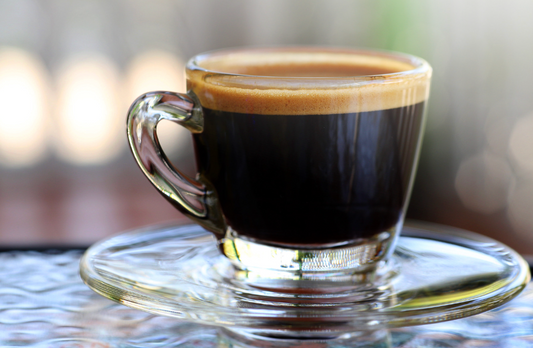 Gaggia Classic Boiler Espresso Review