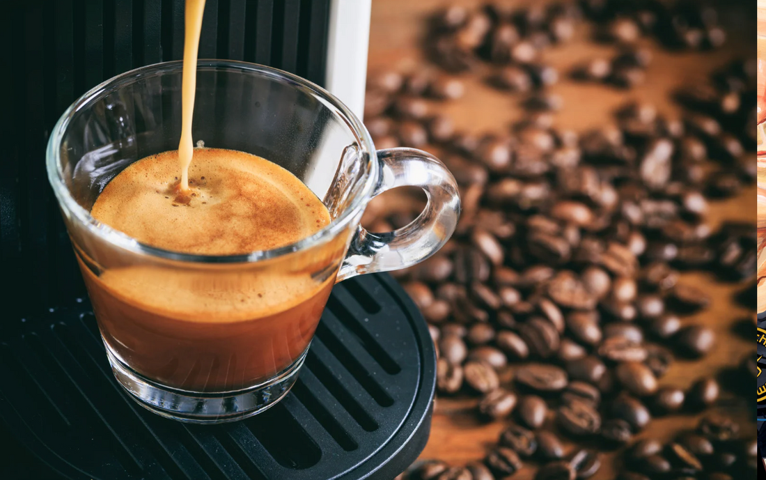Profitec Go Espresso Machine Review