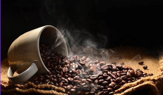 Segafredo Intermezzo Coffee Review