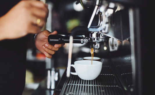 Bean to Cup Coffee Maker | 2025 Review