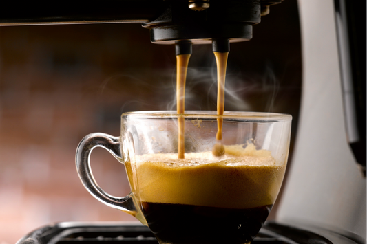 bodum coffee maker