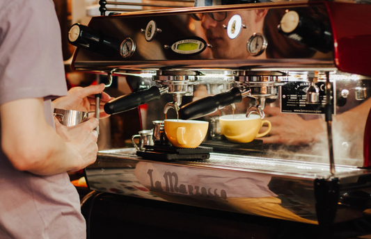 Breville Dynamic Duo Espresso Machine Review