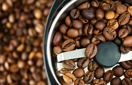 Commercial Coffee Grinders to Consider for 2024 Onward