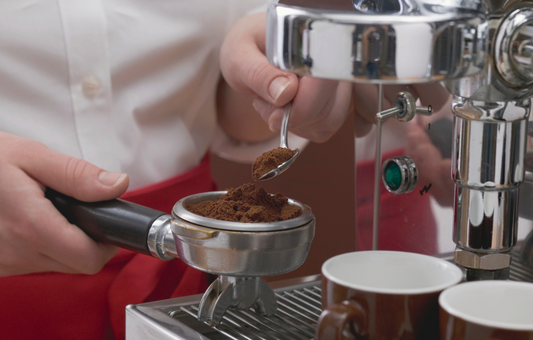 Delonghi Magnifica Esam 3300 Espresso Machine