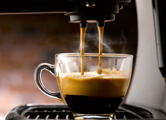 ECM Classika Pid Espresso Machine