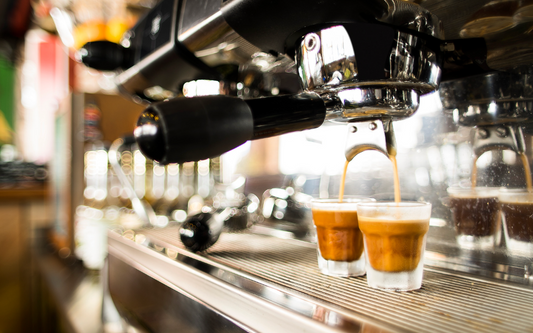 Elektra Coffee Machine Pros and Cons