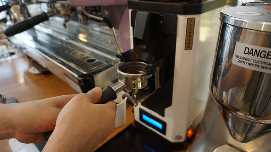 Eureka Mignon Specialita Coffee Grinder Review