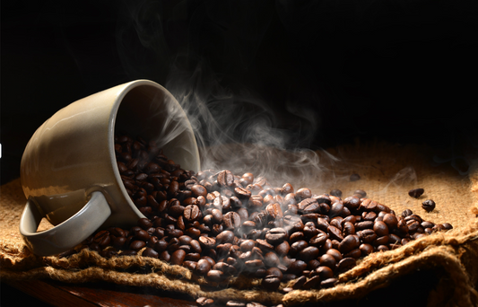 Eureka Silenzio Espresso Grinder Review