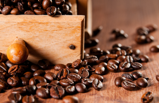 F64 Evo Coffee Grinder Review