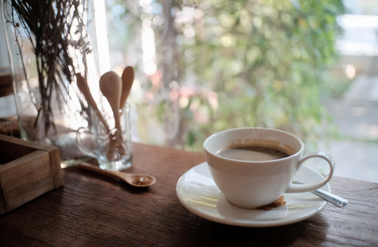 Gaggia Magenta Plus Espresso Maker Review
