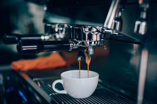 Korinto Espresso Machine | Grindmaster Cecilware Review