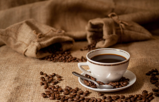 Lelit Anna Espresso Machine Review