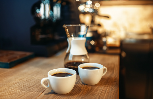 Saeco Incanto Espresso Machine Review