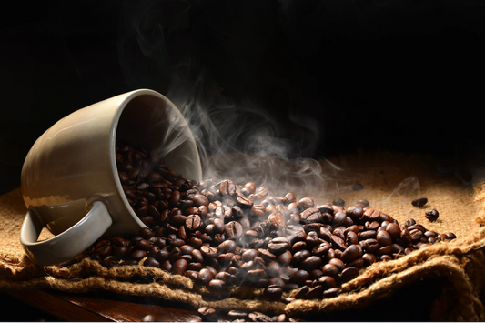 Segafredo Espresso Casa Coffee Review