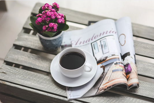 Bodum French Press