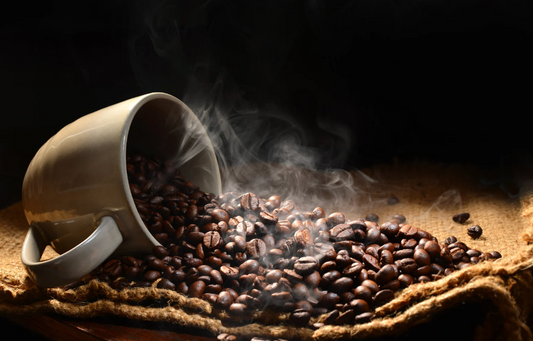 astoria coffee machine price