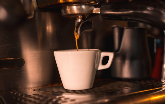 Best Decaf Coffee of 2024