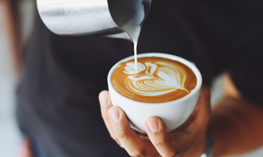 Bezzera BZ13 Espresso Machine Review