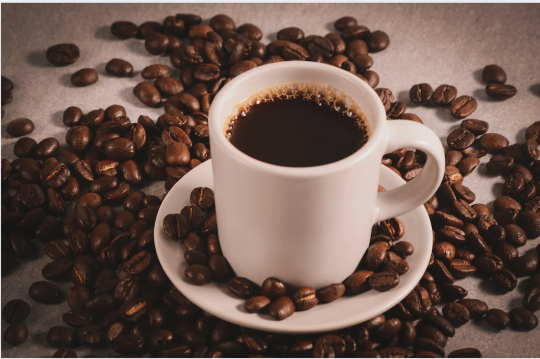 What is the Breville Barista Express Portafilter Size