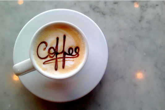 breville barista express user manual