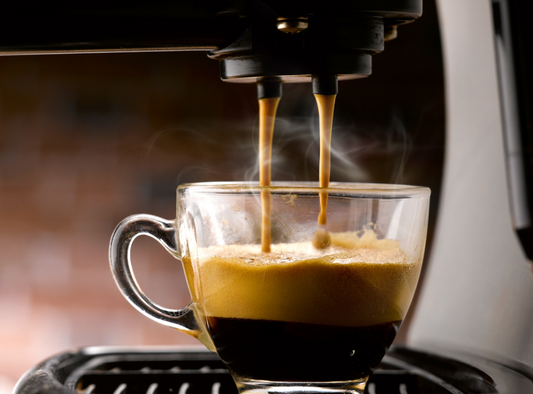 casa brew espresso machine