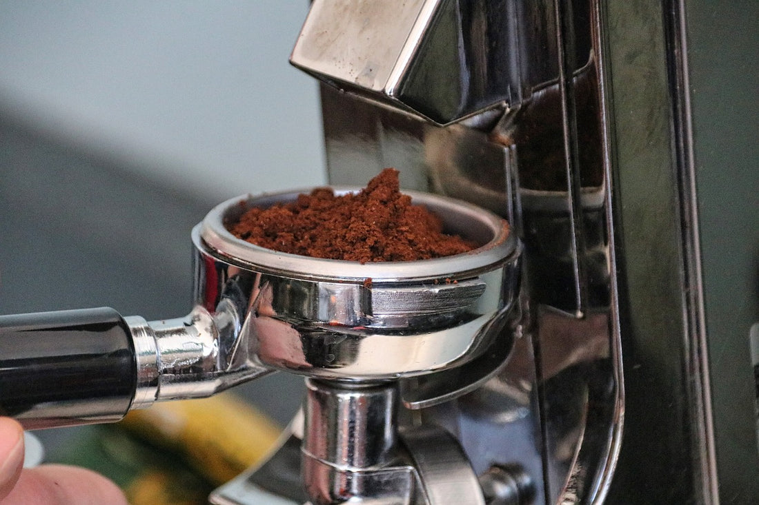 Ceado e37s Coffee Grinder Review