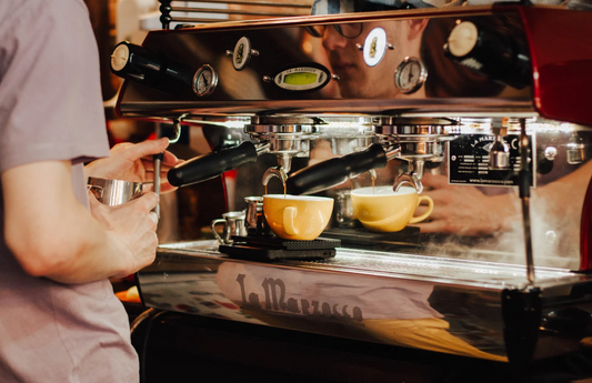 Dedica Style EC 685 M Espresso Machine Review