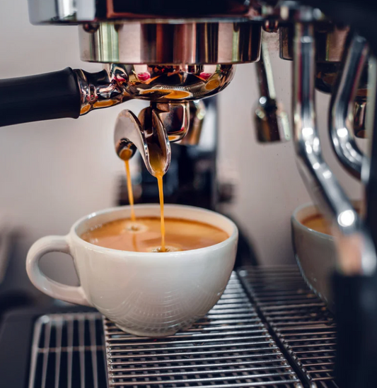 Diletta Bello Espresso Machine Benefits