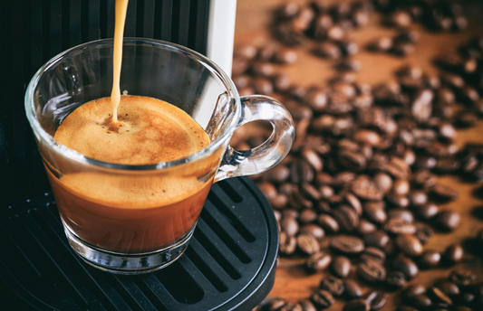 Diletta Mio Espresso Machine Pros and Cons | 2025 Review