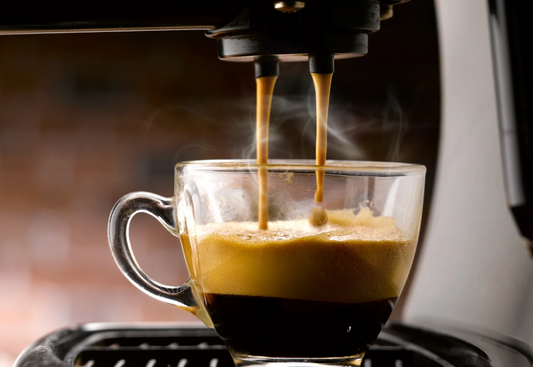 Eureka Mignon Specialita Espresso Machine Review