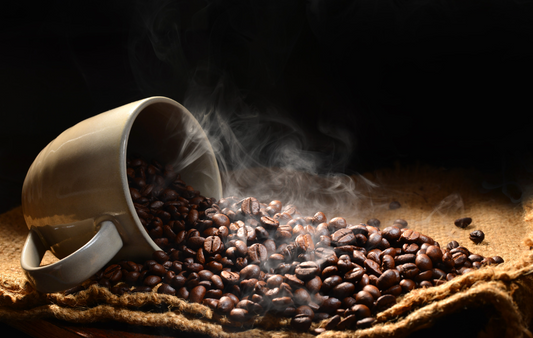 Lelit Elizabeth Espresso Boiler Review