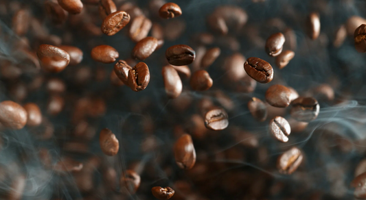 Magister Coffee Machine Review