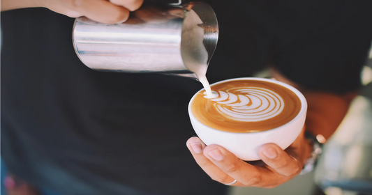 rancilio classe 9