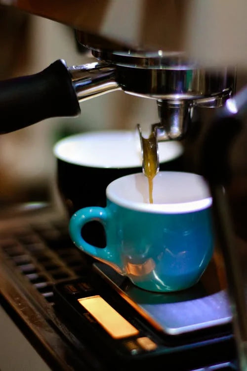 Rancilio Silvia ProX Espresso Maker Review