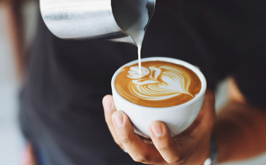 Sage Barista Express Benefits and Review
