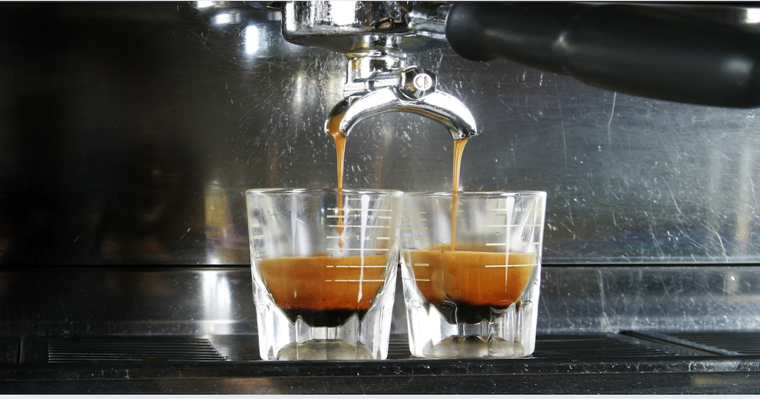terra kaffe tk 02